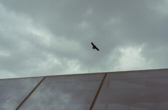 airdrop crypto hunting3