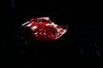 kriptovaljuta artery2