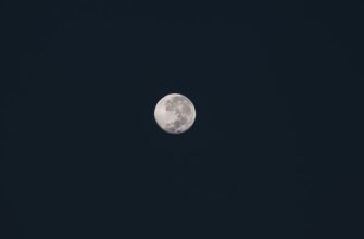 kriptovaljuta luna chto sluchilos4