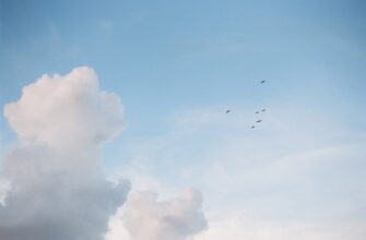airdrop crypto gratis3