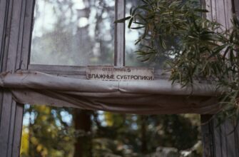 airdrop crypto september 20244