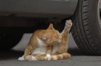 arbitrum kriptovaljuta chto jeto4