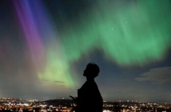 aurora kriptovaljuta prognoz3
