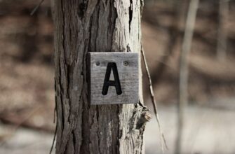 ava kriptovaljuta prognoz3