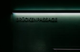 brauzer brave kriptovaljuta3