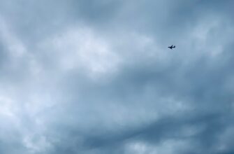 crypto airdrop hunter reddit4