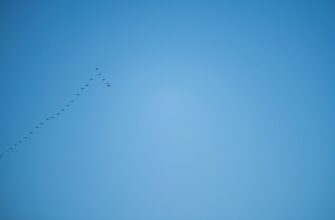 crypto airdrop instant withdraw4