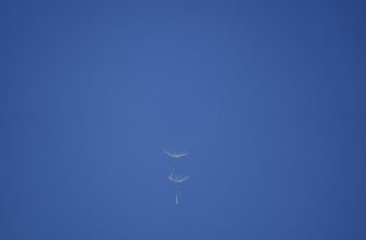 crypto airdrop landing page4