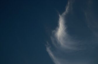 crypto unicorns airdrop3