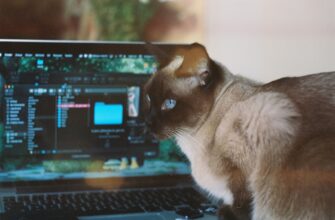 easy crypto airdrop cats video code6