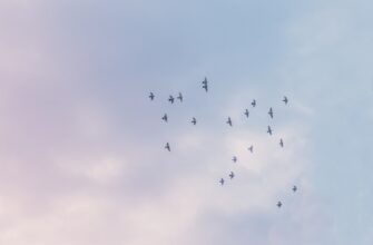 free airdrop crypto airdrops4