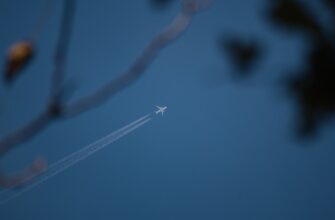 kak deklarirovat airdrop dohod v kazahstane dlja novichkov