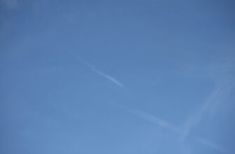 kak poluchit besplatno ton airdrop bez komissii