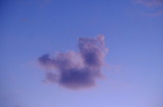 kak poluchit besplatno usdt airdrop poshagovo