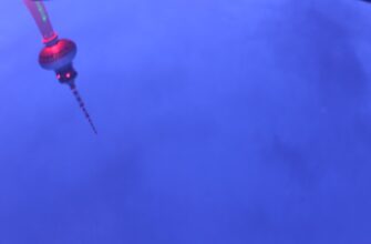 kak stejkat usdt na rocket pool