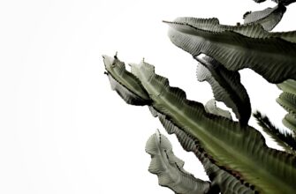 klast na depozit cardano na kraken staking dlja novichkov