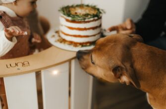 kriptovaljuta cake2