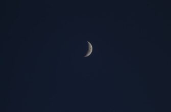 kriptovaljuta luna2