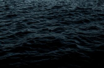 passivnyj dohod usdc na kraken staking nizkij risk