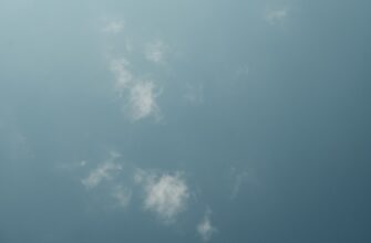 poluchit besplatno usdt airdrop na starknet proverennyj