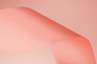 poluchit testnet token airdrop na polygon poshagovo