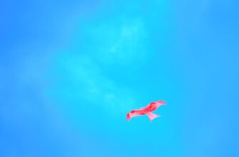 pretendovat jefirium airdrop na zksync