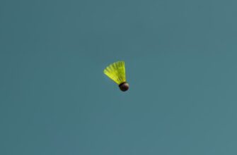 pretendovat meme coin airdrop na blast dlja novichkov