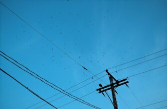pretendovat testnet token airdrop na layerzero bez komissii