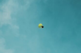 sobrat pepe airdrop na polygon