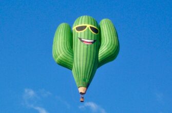 sobrat pepe airdrop na starknet bez komissii