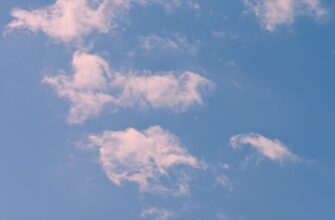 sobrat sol airdrop na bybit poshagovo