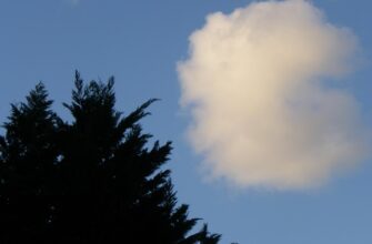 uchastvovat sol airdrop na arbitrum bez komissii
