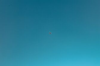 uchastvovat testnet token airdrop na layerzero proverennyj