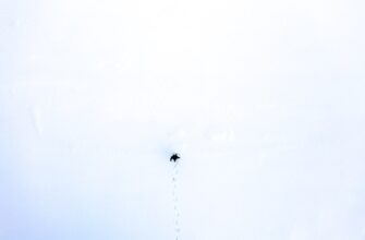 uchastvovat ton airdrop na starknet poshagovo