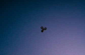 uchastvovat ton airdrop na testnet bez kyc