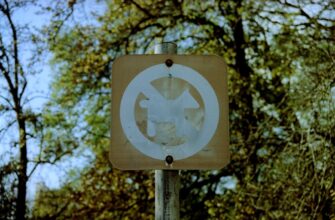 zabrat zk airdrop na arbitrum dlja novichkov