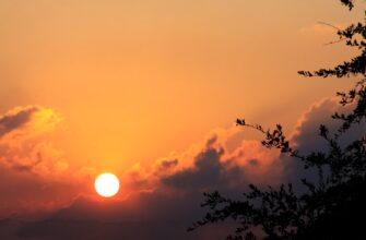 bystro kupit sol za lari cherez kivi v erevane