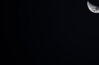 dej trejding usdt na bybit 1 minuta