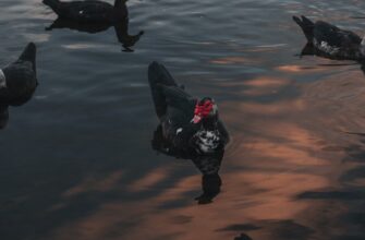 farmit dohod solana na kraken staking samyj vysokij apy