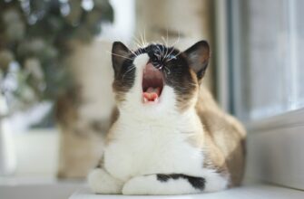 farmit dohod ton na coinbase staking bez komissij