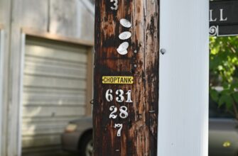 fjuchersnaja torgovlja jefirium na gate 15 minut 2025