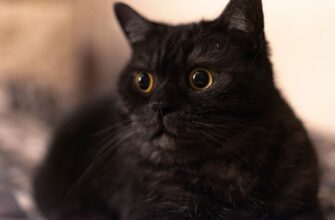 kak hranit apparatnyj kosheljok bez interneta nizkaja stoimost