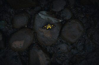 kak poluchit besplatno zk airdrop dlja novichkov