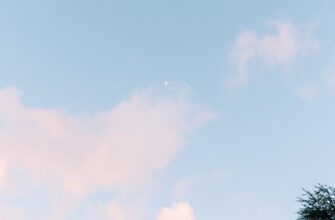kak poluchit usdt airdrop dlja novichkov
