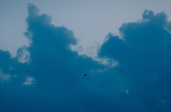 kak pretendovat zk airdrop proverennyj