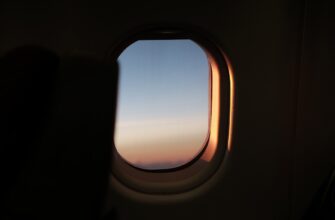 nalogovaja stavka airdrop dohod v uzbekistane
