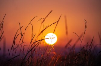 obmenjat sol za juani cherez kivi v belarusi