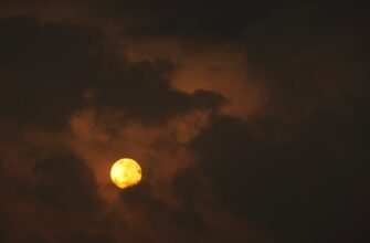 obmenjat sol za rubli nalichnymi v tashkente nizkaja komissija