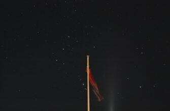 passivnyj dohod ada na rocket pool bez komissij