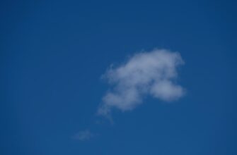 poluchit besplatno ton airdrop na arbitrum masshtabnyj